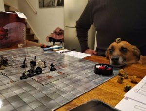 Playing Dungeons and Dragons with our Dog